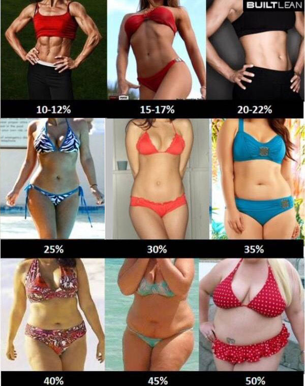 女性体脂肪比較